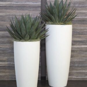 ქოთნები