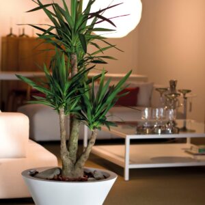 ქოთანი  CHIRON