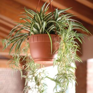 ქოთანი Basket SIENA Assemblato