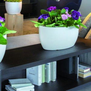 ქოთანი ATHENA