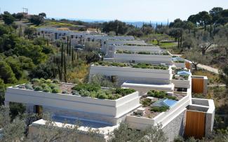 heather with lavender