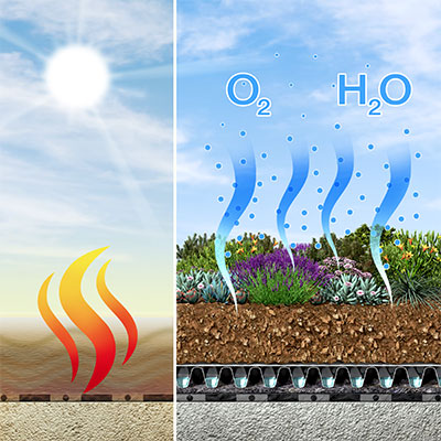 improves the microclimate