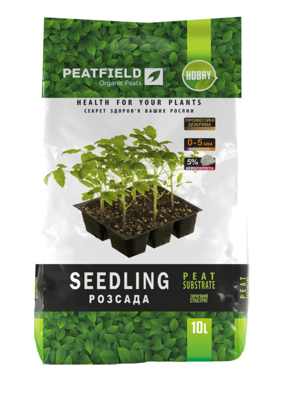 Peatfield Seedling 600x798