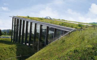pitched green roofs up to 25