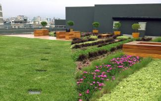 roof garden with aquafleece® irrigation
