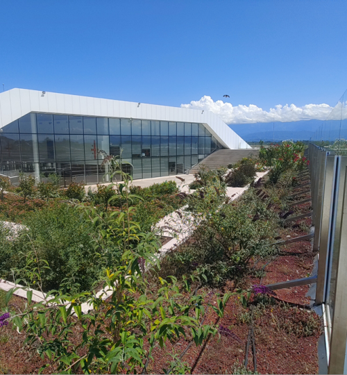 kopitnaris_aeroporti2