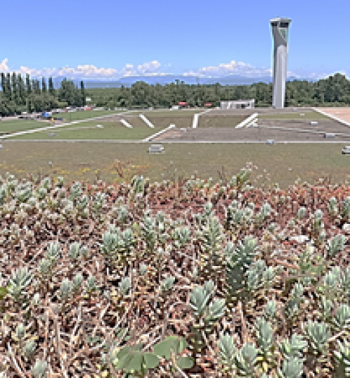 kopitnaris_aeroporti3