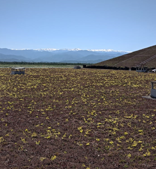 kopitnaris_aeroporti6