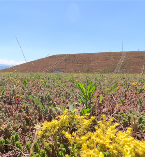 kopitnaris_aeroporti7